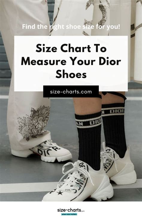 brown dior sneakers|Dior sneakers size chart.